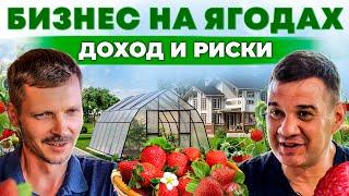 8 миллионов рублей с гектара | Доходный бизнес на клубнике и малине. Как начать? Андрей Даниленко