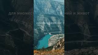 Сулакский каньон – одно из самых захватывающих природных чудес в регионе Дагестан
