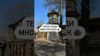 Терем среди многоэтажек 