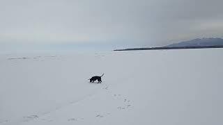 Зимние приключения с Аделаиды на Байкале 
