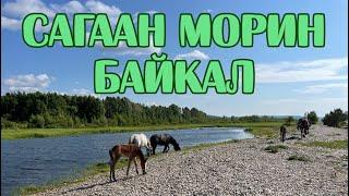 Парк Сагаан Морин на Байкале, июнь 2023