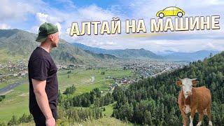 Горный Алтай на машине | Большой выпуск (часть 1)