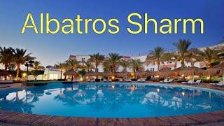 Albatros Sharm Resort. Мы заселяемся! #египет #шармельшейх #отель_Albatros