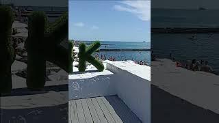 Центральный пляж города Сочи #николайсмирнов #кострома #море #shortvideo #отдых #сочи  #пляж  #лето