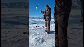 Сразу два омуля ! #иркутск #камчатка #байкал #омуль #охота #рыбалка #отдых #малоеморе #рыбак #зима
