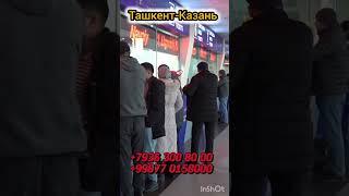 #ташкент #оренбург #набережныечелны #нижнекамск #альметьевск #чебоксары #казань #уфа #шортс #билет