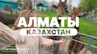 Алматы 2024. Работает ли карта мир? Как сделать мультикарту гражданину РФ? Про зоопарк.