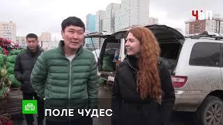 «НАРУБИЛИ КАПУСТЫ»