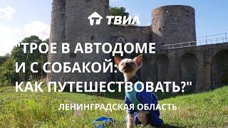 Ленинградская область: автодом, движение vanlife, путешествия с собакой / Лариса Гармаш