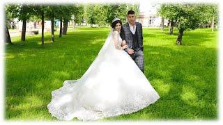 Цыганская свадьба в 4к в г Брянск Богдан и Каролина 11 июля 2023 Видео от Владимира 8 920 602 7234