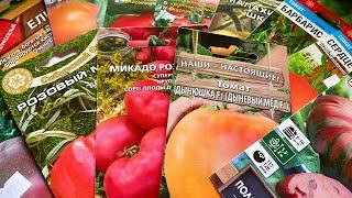 Суперурожайные томаты - Обзор 2023! Слаще только в сказке!#обзортоматов#уральскиетоматы