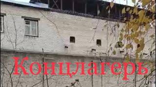 Gulagu.net получил видео о том, как издеваются над пленными в СИЗО-2 УФСИН России Тверской области