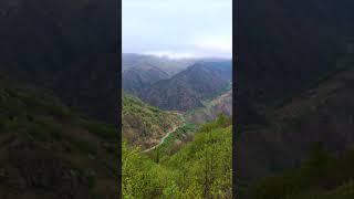 Дорога в горах #горы #дорогавгорах #Кавказ #джилысу