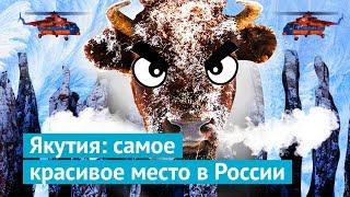 Якутия: на вертолете к Ленским столбам и бизонам