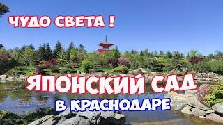 Японский сад в парке Галицкого в Краснодаре. ЛУЧШИЙ ПАРК В РОССИИ!
