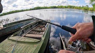 КИНУЛ приманку в ТРАВУ, ОНА СХВАТИЛА. Рыбалка на спиннинг на реке, щука в 2024