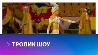 Легендарное «Тропик шоу» заслуженного артиста России Тиграна Акопяна пройдет в Ставрополе