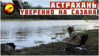 Уверенно приехал НА САЗАНА / Рыбалка в Астрахани под конец запрета