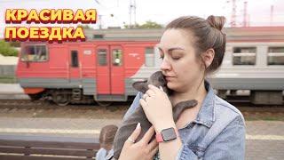 Путешествие в Сибирь на поезде РЖД. В новом вагоне