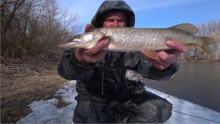 Ловля Щуки весной на Джиг. Рыбалка в Астрахани 2023