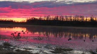 Весенняя охота на уток в Якутии 2023 (Часть  2) Вилюйск. Spring duck hunting in Yakutia.