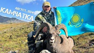 Трофейная охота и рыбалка на Камчатке. Август 2024/Snow sheep hunting and fishing in Kamchatka.