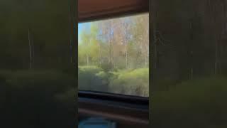 Поезд со шторками. #Россия #путешествие #поезд #russia #spring #весна