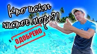 ТОП-5 курортов России с самым чистым и прозрачным морем. (Папа Может)