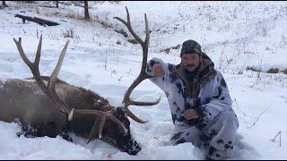 Охота на марала в Востоно-Казахстанской области. Maral stag hunting in the East Kazakhstan region.