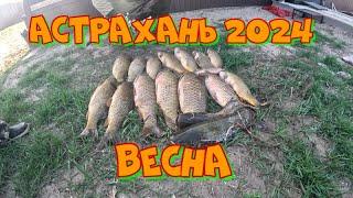 Рыбалка в Астрахани. Весна. Апрель 2024г.Вобла....Часть 1.