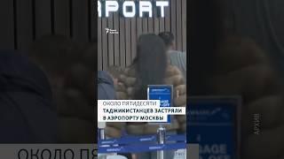 Около пятидесяти таджикистанцев застряли в аэропорту Москвы