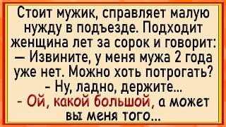 Как дамочка в подъезде мужику дала! Сборник свежих анекдотов! Юмор!