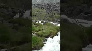 Горный Алтай, на пути к горе Белуха