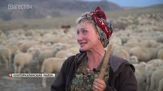 Туристка из Московской области работает чабаном в Дагестане