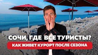 Стоит ли ехать в Сочи в несезон? Плохая идея или лучшее время для отдыха? #отдыхвсочи #сочиосенью