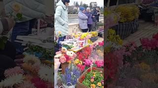 В Сочи только ленивый не торгует цветами 7 марта|#shorts #respect #россия #путешествия #сочи #7марта