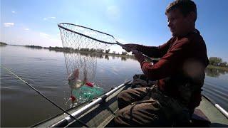 Рыба ломает удилище. Супер рыбалка. Рыбалка в Астрахани 2023