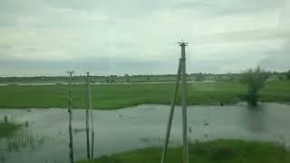 Заливные луга в Астраханской области из окна поезда Water meadows Astrakhan region from train window