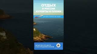 Найдите тайный пляж, где можно плавать с дельфинами! Отдых в России #отдыхвроссии