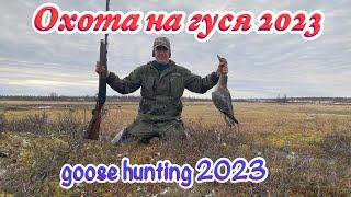 Весенняя охота на гуся 2023 Spring goose hunting