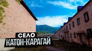 Поселок Катон-Карагай. Жизнь в раю, но есть нюанс #казахстан #счастье