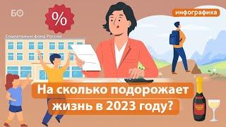 Путешествия, алкоголь и загранпаспорт: что подорожает в России в 2023 году? | Инфографика
