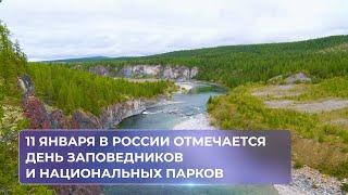11 января в России отмечается День заповедников и национальных парков.