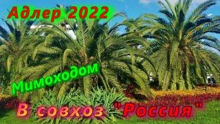 Адлер 2022/ Мимоходом в совхоз "Россия"