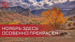 Дагестан стал самым популярным направлением для путешествий в ноябре у жителей Санкт-Петербурга