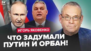 ЯКОВЕНКО: Таємне ПОСЛАННЯ Орбана! Путін У ПАНІЦІ. Соловйов НАПАВ на Z-воєнкорів. Ходарьонок ІСТЕРИТЬ