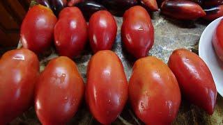 Огородный сезон окончен. Пора выбирать лучшие сорта томатов на будущий год. Ответы на вопросы.