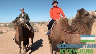 Путешествие по пустыне Узбекистана