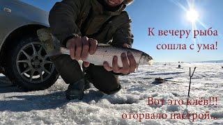 Ловим Байкальского омуля! Зимняя рыбалка на Байкале! Попали на вечерний клёв!!!