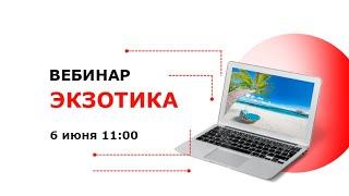 Экзотика